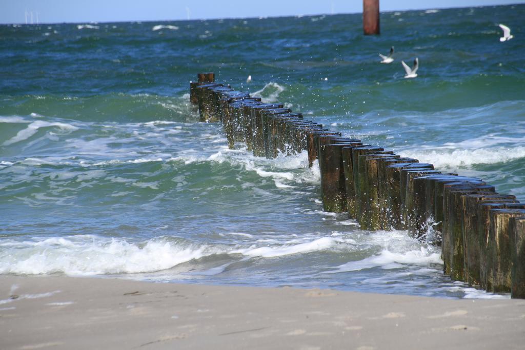 Hotel Garni Inselparadies Zingst Ngoại thất bức ảnh